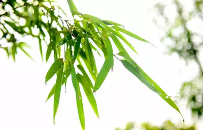 【最美巾幗農(nóng)莊】咸寧這地方太美,連屈原都流連忘返