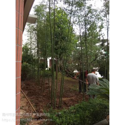 價格 廠家 中國供應商