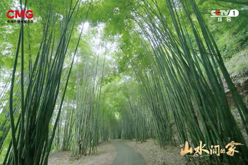 種田就是種風(fēng)景 山水間的家 見證鄉(xiāng)村十年綠色蝶變